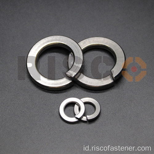 DIN127 304 316 Stainless Steel Spring Washer